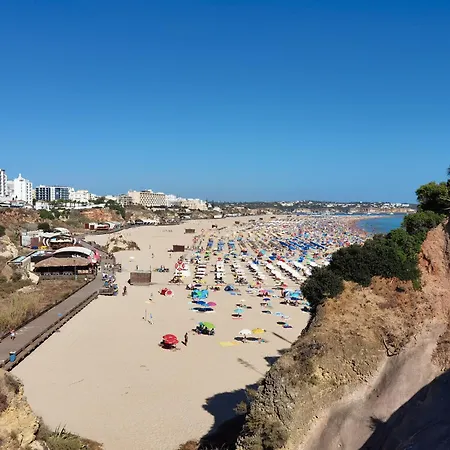Rocha Sea View Summer 1 Apartament